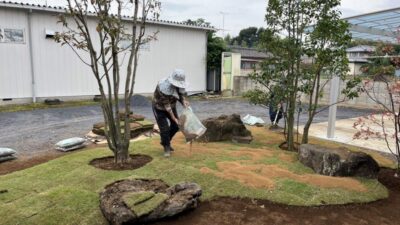 芝張り工事のようす。